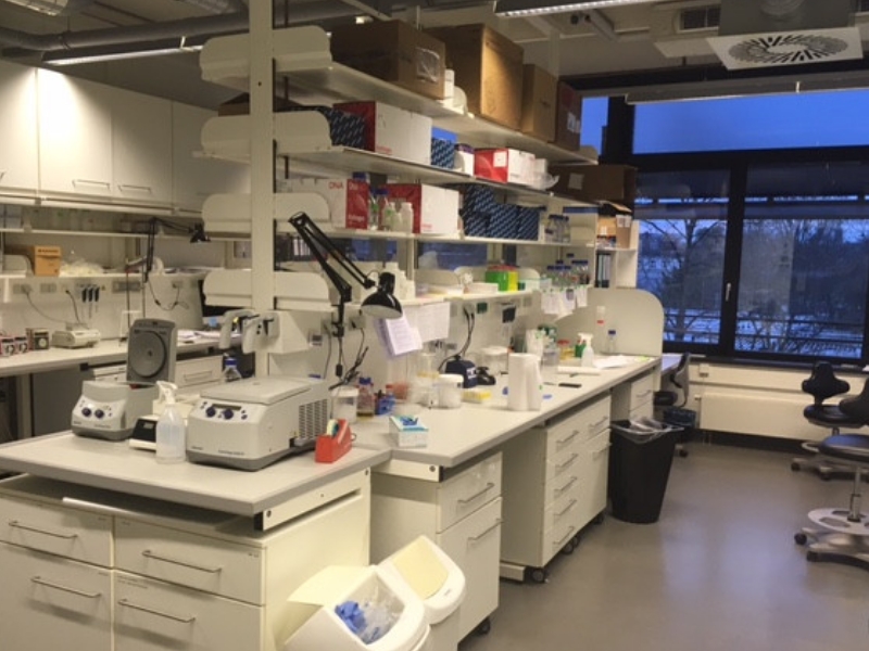 Biosafety Level Labs (2/3/4) & Line Probe Assay (LPA)